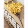 Forsythia Stem, , large