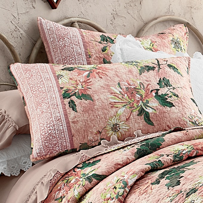 Chrysanthemum Sham, , large