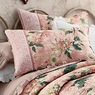 Chrysanthemum Sham, , large