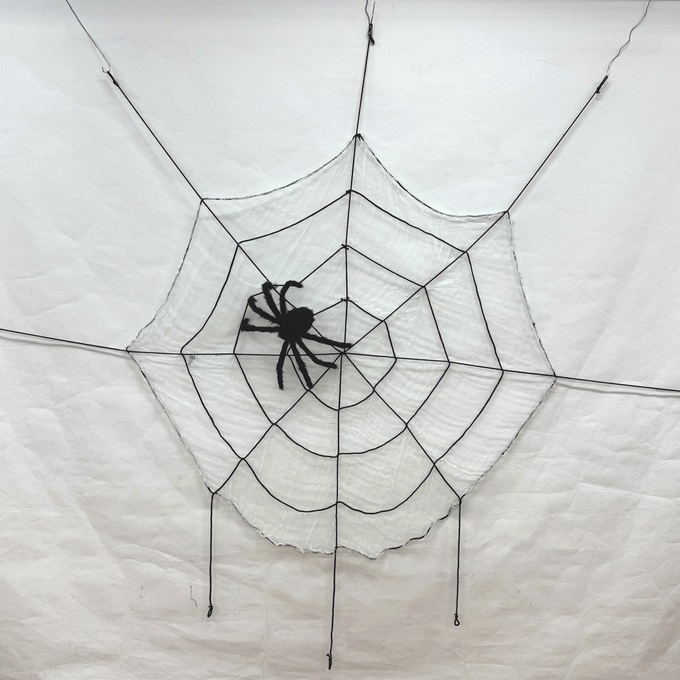 Spider and Web, , large
