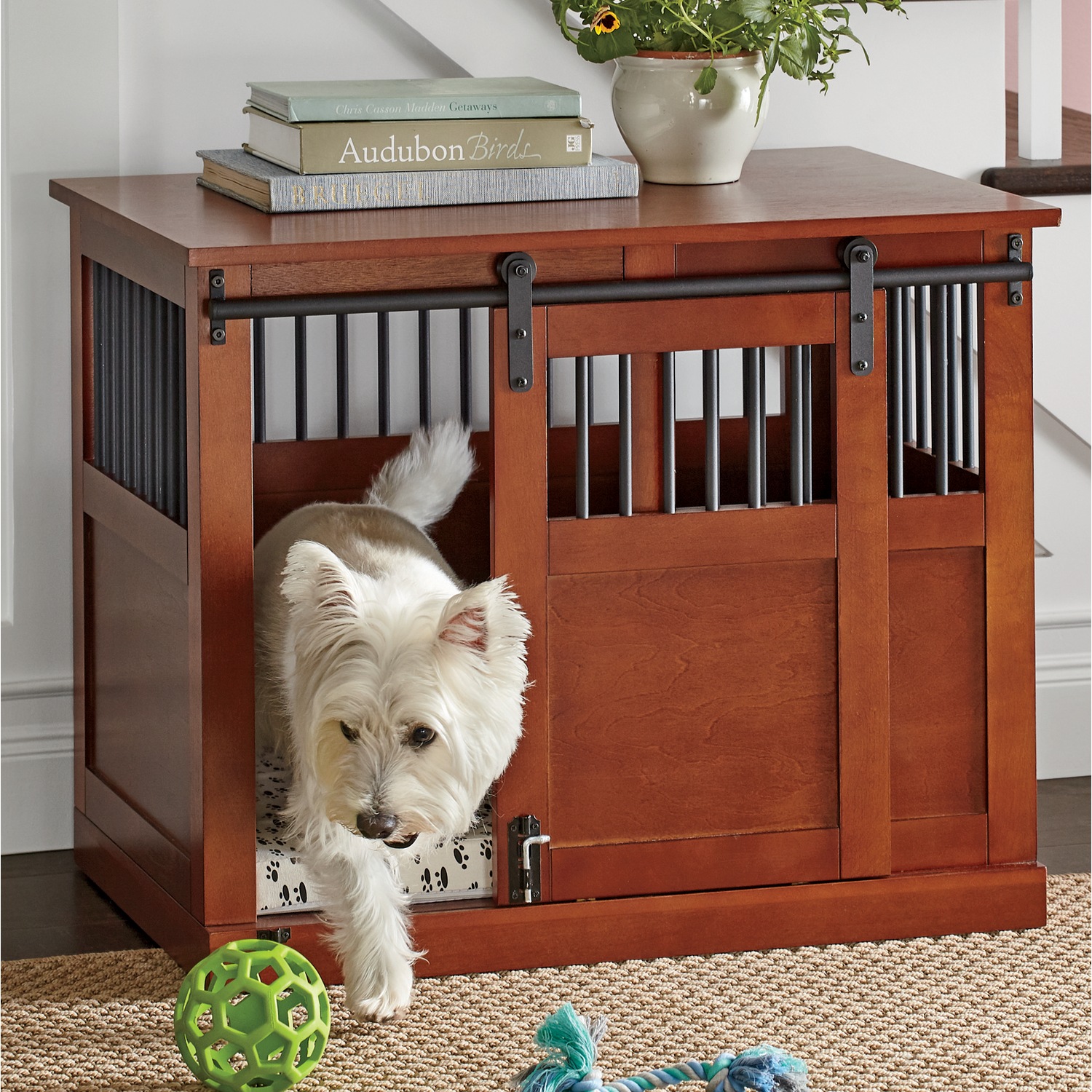 Barn Door Dog Crate Ginny's