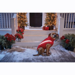 Reflective Dog Winter Jacket , , large