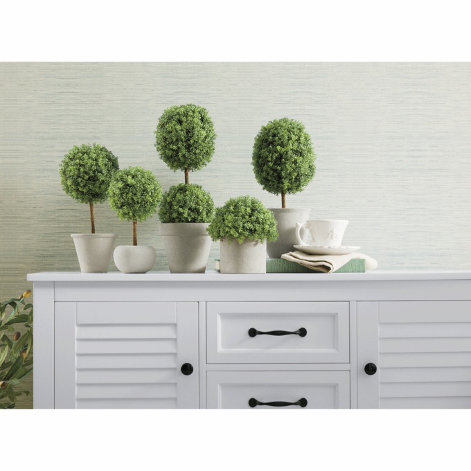 Set of 5 Potted Toparies, , large