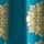 Teal Gold