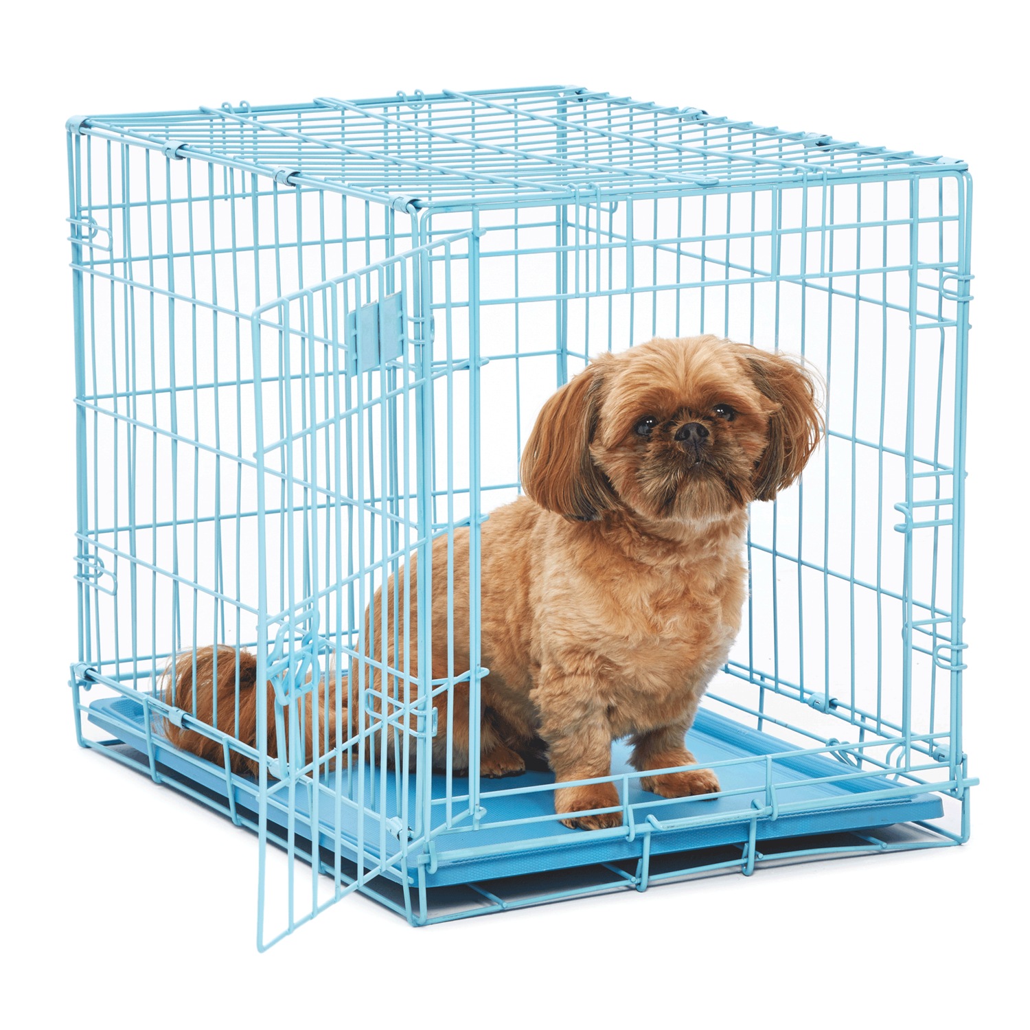 MidWest iCrate Single Door Crate Ginny s
