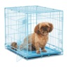 MidWest iCrate Single-Door Crate, Blue, large