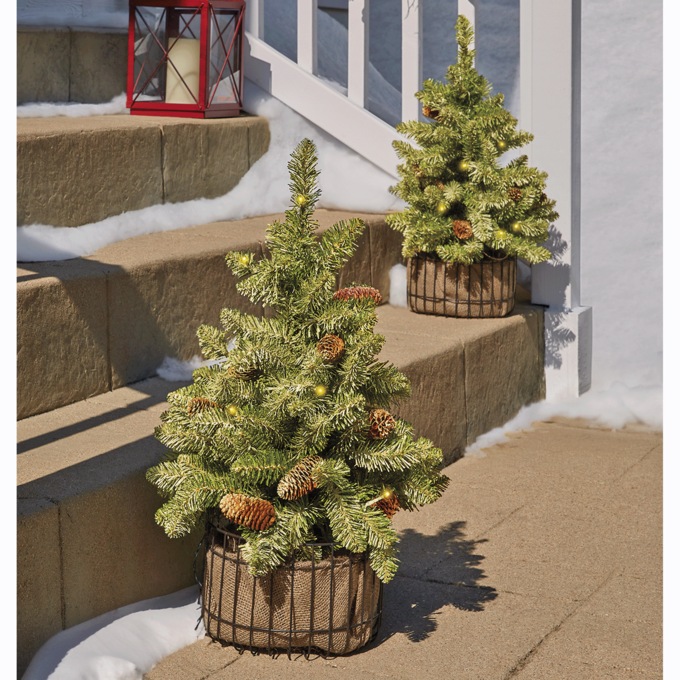 Set Of 2 Christmas Trees In Wire Basket, , large