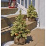 Set Of 2 Christmas Trees In Wire Basket, , large