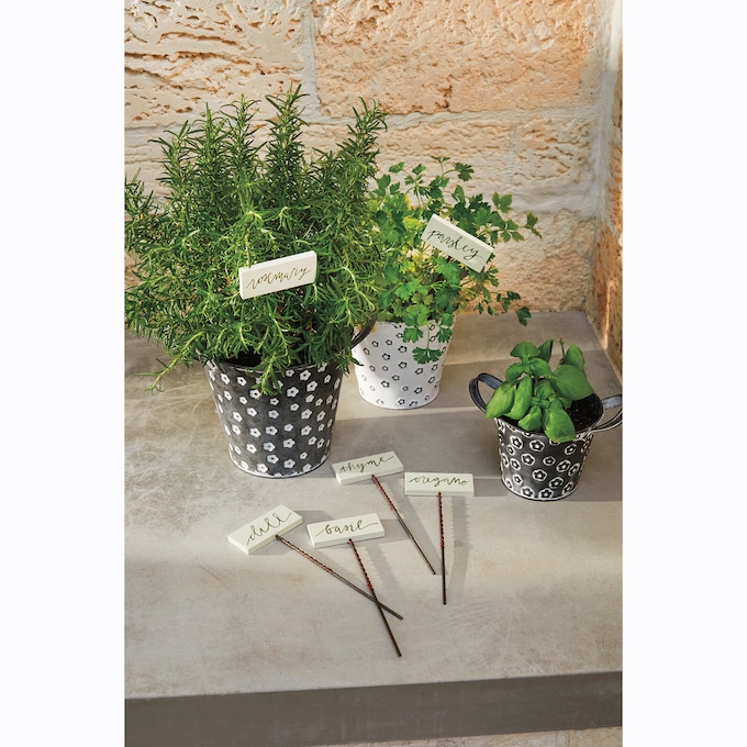 Set of 6 Herb Picks, White, large