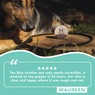 Natural Dog Company 2-oz. Paw Soother, , large