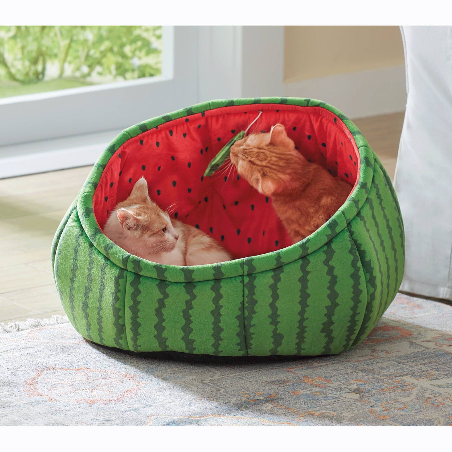Watermelon dog bed top