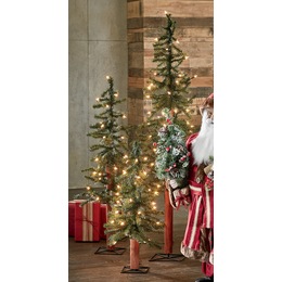 Set of 3 Alpine Trees, , large