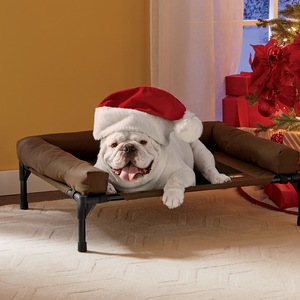 K&H Pet Products Original Bolster Pet Cot - Large, , large