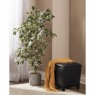 Faux-Ficus Tree, , large