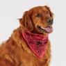 6-Piece Pet Bandana Set, , large