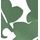 Green Vine Damask