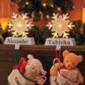 Lit Snowflake Stocking Holder, , large