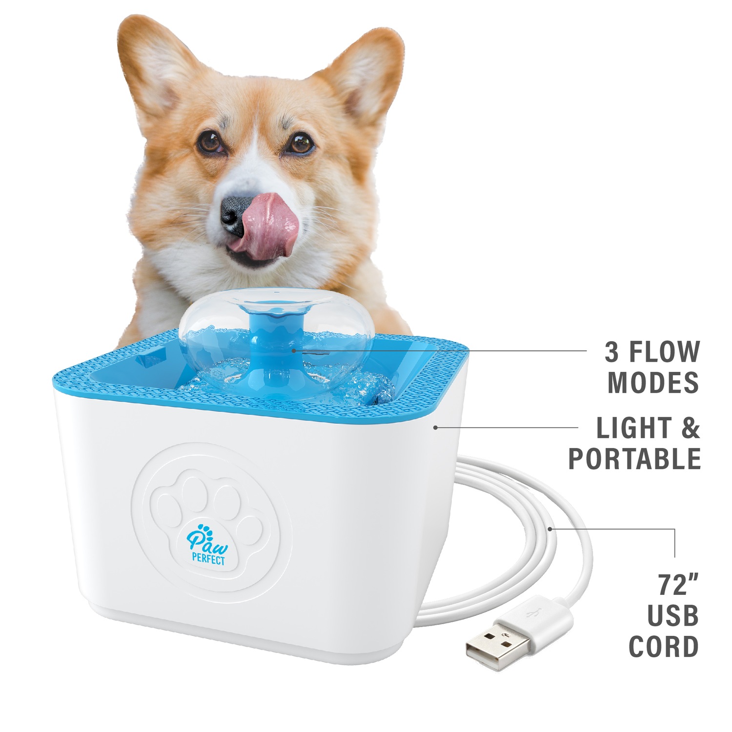 Paw Perfect Water Fountain Ginny's