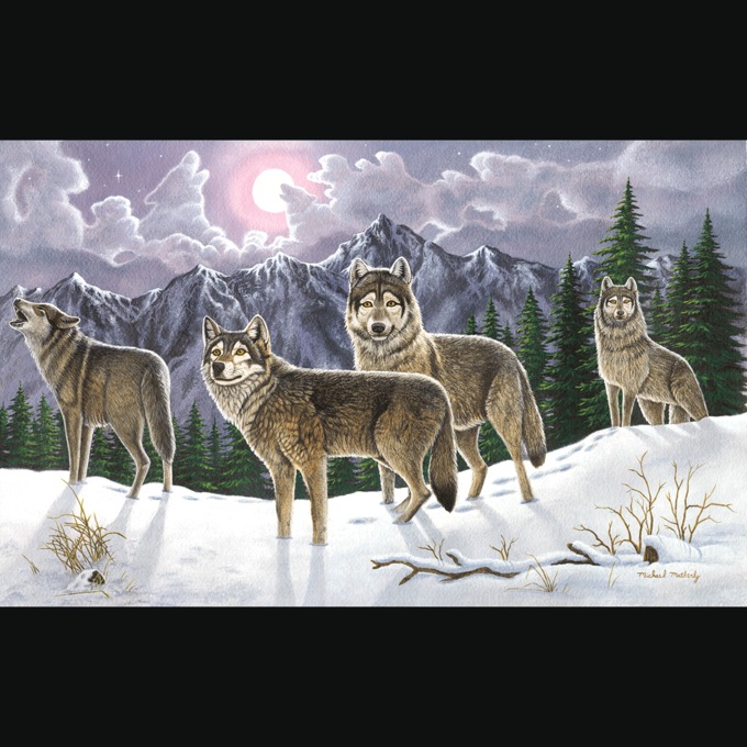 Adult Pre-Printed Paint-by-Number Kit, , large