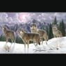 Adult Pre-Printed Paint-by-Number Kit, , large