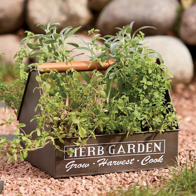 Herb Garden Organizer, , large