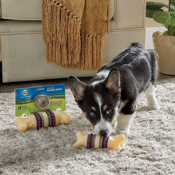 Premier Busy Buddy Bristle Bone, , large