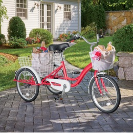 Adult Tricycle with Two Baskets, , large