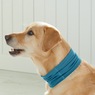 Set of 3 Cooling Pet Bandanas, , large