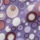 Rose Violet Multi Dot