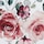 Floral Roses