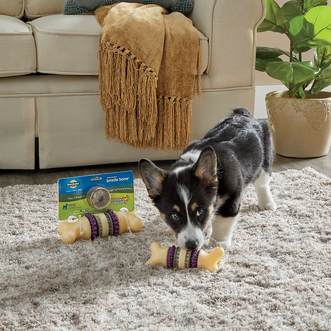Premier Busy Buddy Bristle Bone - Large, , large