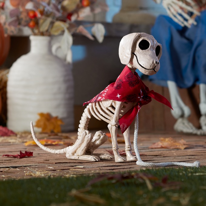Bonezie Hillbilly Farm Dog Skeleton, , large