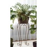 Plant in Floor Stand, , large