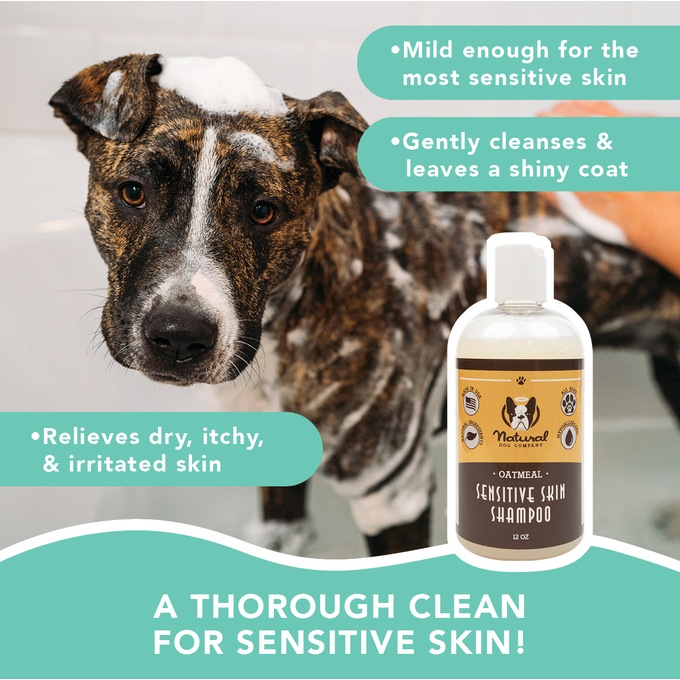 Natural Dog Company Sensitive Skin Dog Shampoo, , large
