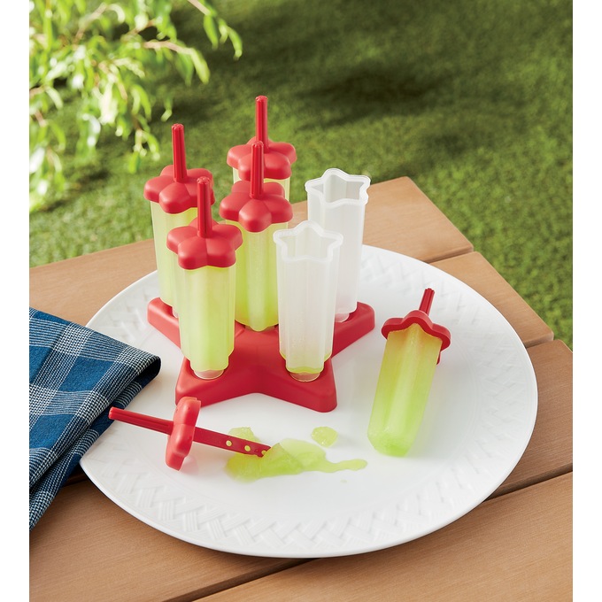 Set of 6 Popsicle Molds