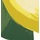 Lemon Zest