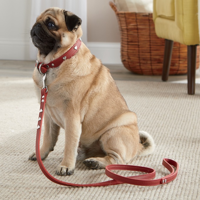 Leather Brothers Leash, , large