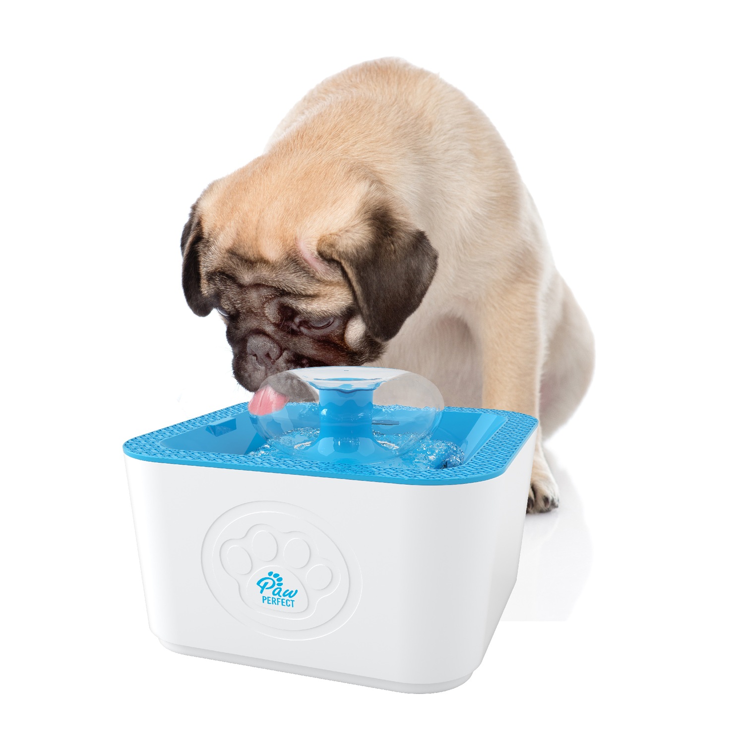 Paw clearance water fountain