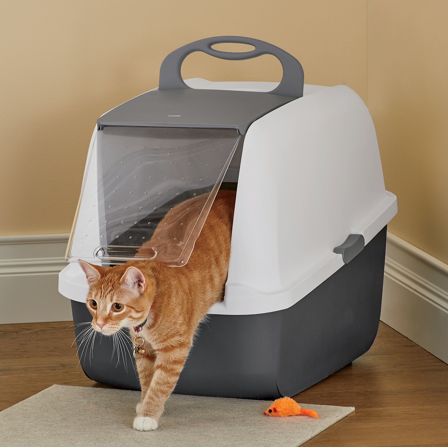 magic litter box