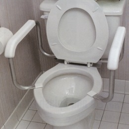 Toilet Safety Rail, , large