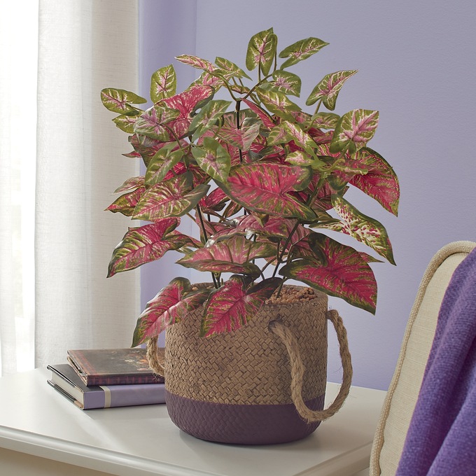 Faux Caladium in Pot, , large