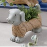 Pet Planter, , large