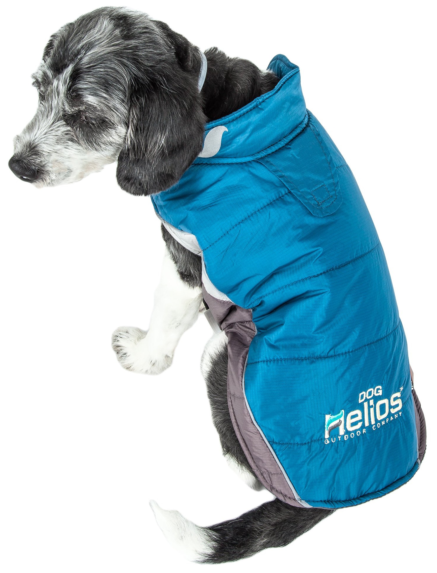 helios dog coat
