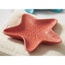 Coastal Soap Dish, , large