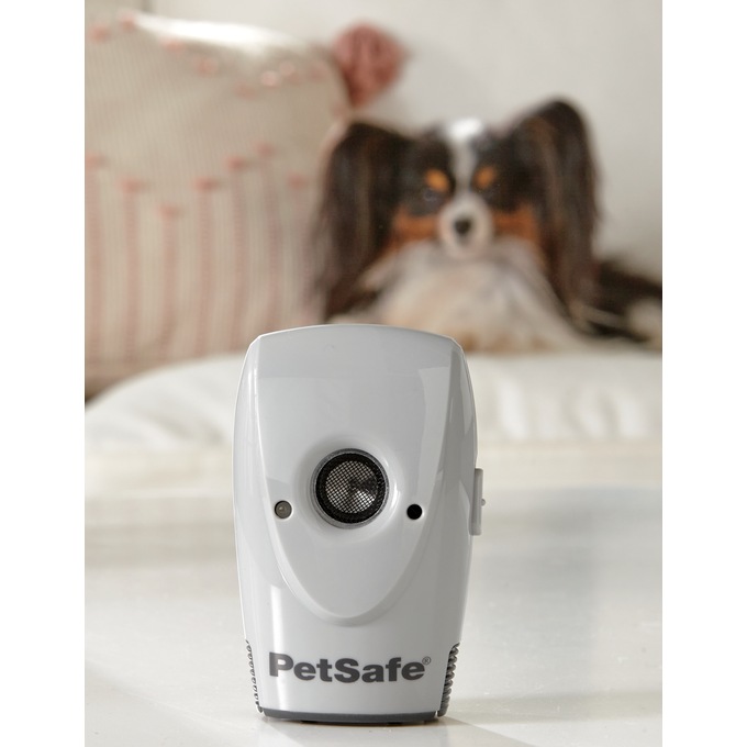 Indoor bark 2025 control for dogs