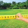 Grow 'n Up Football Goal Set, , large