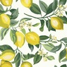 Roommates Peel and Stick Wall Paper, , large