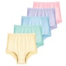 5-Pack Nylon Panties, , large