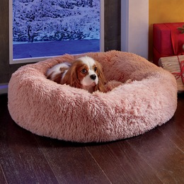 Pet Care - Dog Supplies, Pet Vacuum, Pet Bed | Ginny's