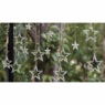 Star Solar Curtain String Lights, , large